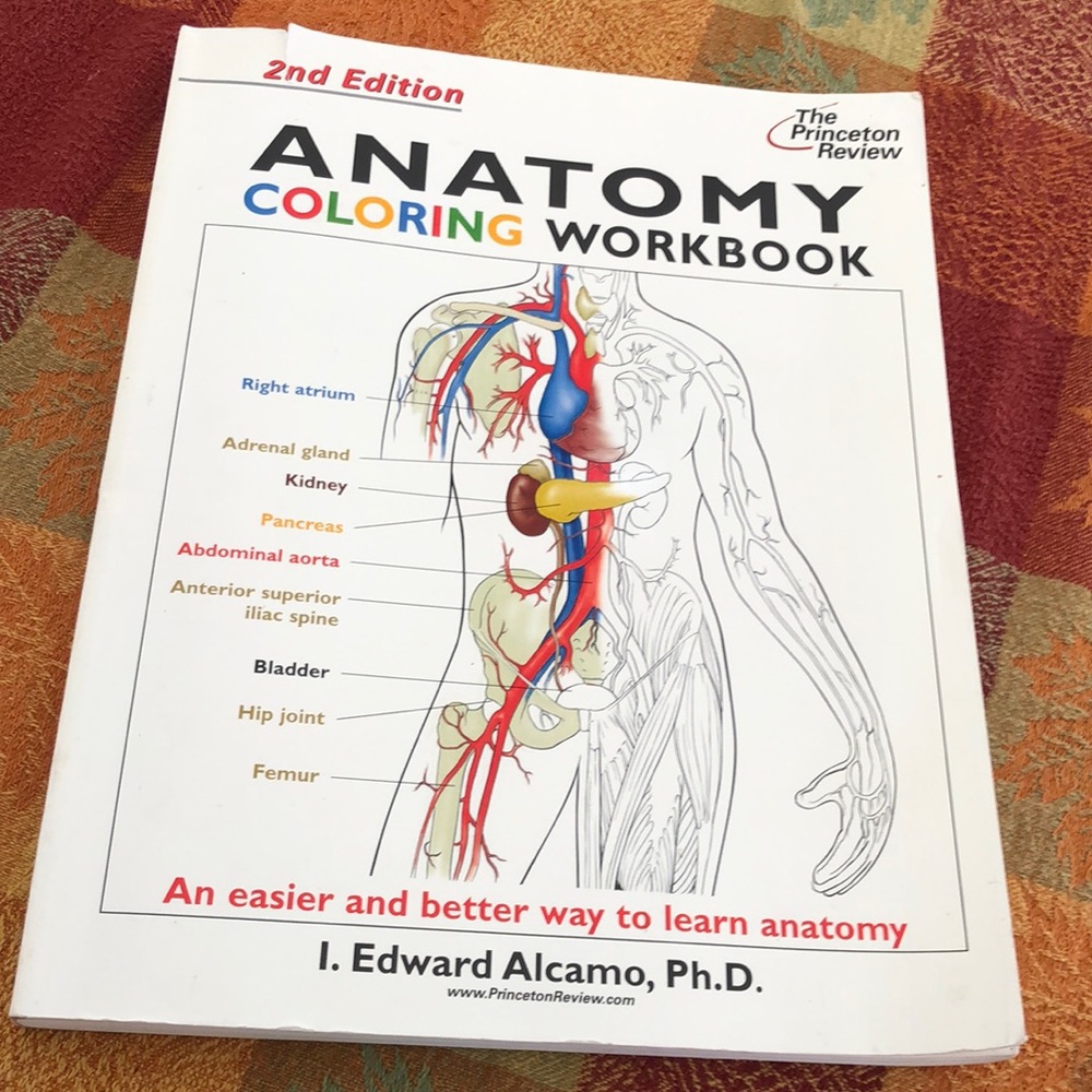 Anatomy Coloring Workbook 2nd Edition: An Easier and Better Way to Learn Anatomy